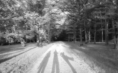 ArboretumTrip101824